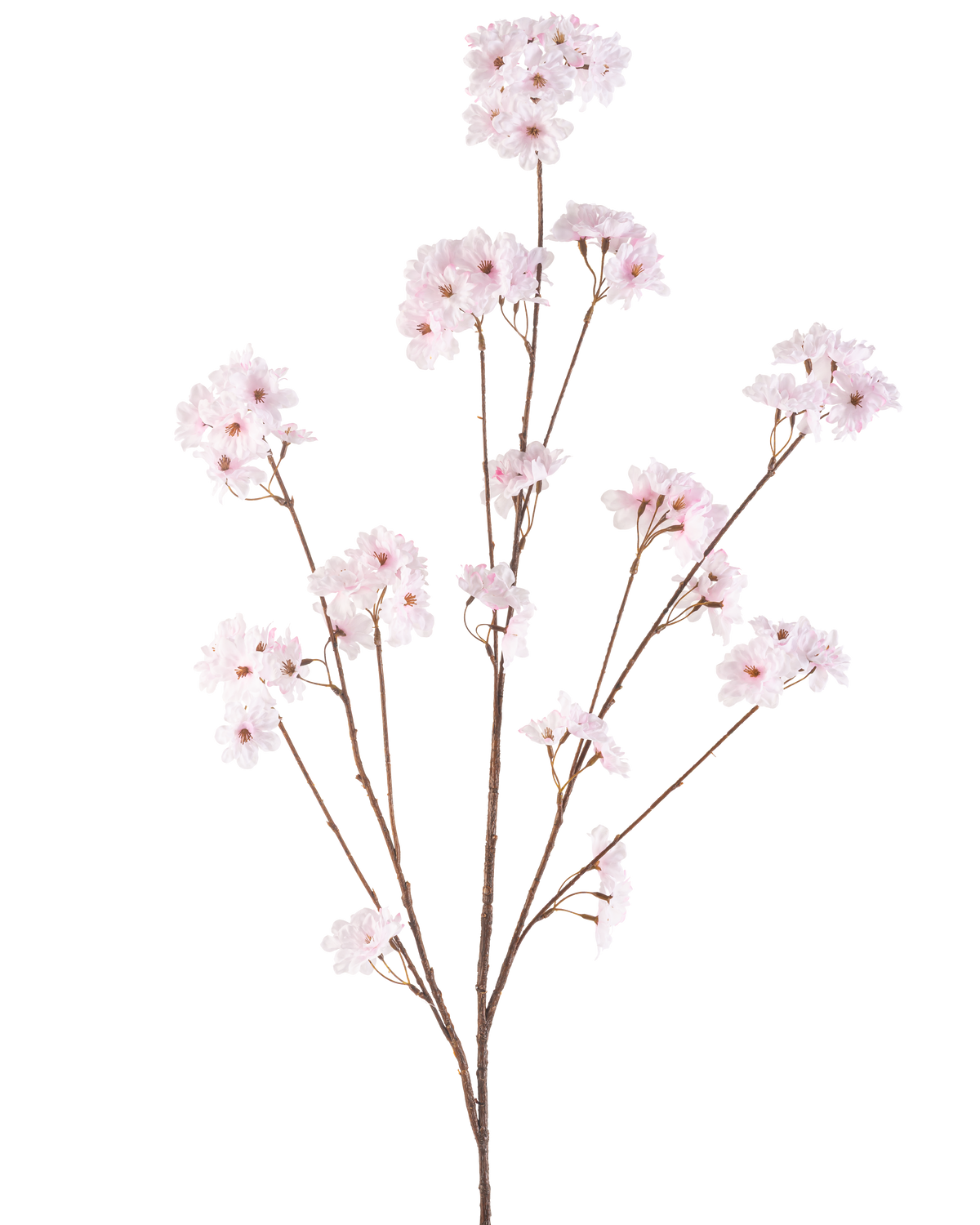 Artificial Flower Cherry Blossom 130 cm lys pink har flere tynde stængler med bundter af sarte lys pink kirsebærblomster, smukt arrangeret og isoleret på en hvid baggrund.