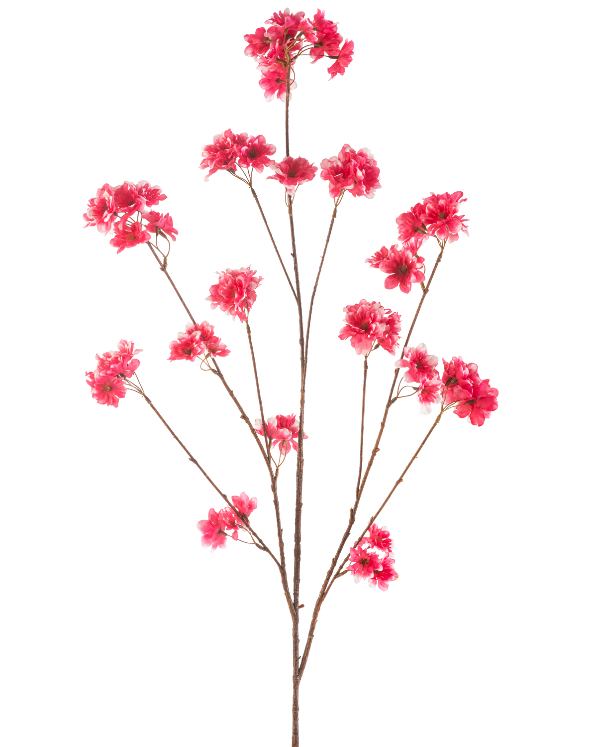 Artificial Flower Cherry Blossom 130 cm fuchsia har en enkelt stilk med flere tynde brune grene, hver dekoreret med klaser af levende fuchsia kunstige juleblomster, mod en almindelig hvid baggrund.