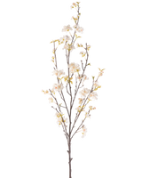 De Kunstbloem Kersenbloesem 150 cm crème heeft een hoge tak met verschillende dunne stelen, kleine witte kersenbloesem bloemen en verspreide groene bladeren, allemaal tegen een effen witte achtergrond.
