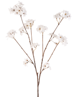 De Kunstbloem Kersenbloesem 114 cm crème heeft een bruine steel die zich vertakt in kleinere stelen, elk versierd met delicate kunstbloemen in een roomwitte tint, tegen een effen witte achtergrond.