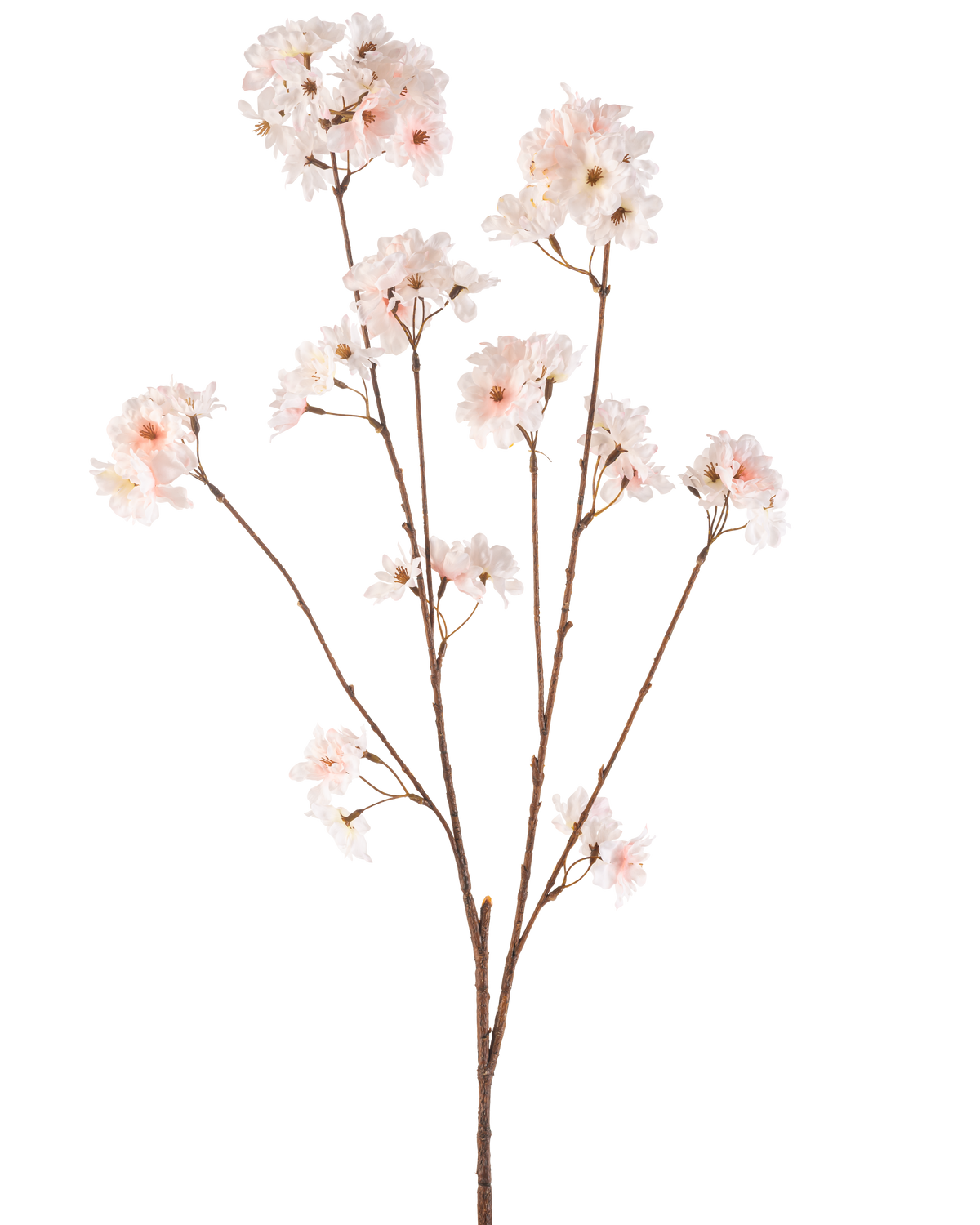 Den Artificial Flower Cherry Blossom 114 cm blush har en enkelt brun stilk med flere grene toppet med sarte, rødmende lyserøde kirsebærblomster, smukt isoleret på en hvid baggrund.