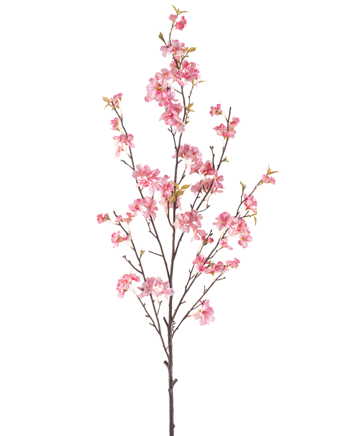 Artificial Flower Cherry Blossom 150 cm pink har en enkelt brun gren med flere tynde stængler, dekoreret med bundter af sarte lyserøde kirsebærblomster og et par grønne blade, isoleret på en hvid baggrund.