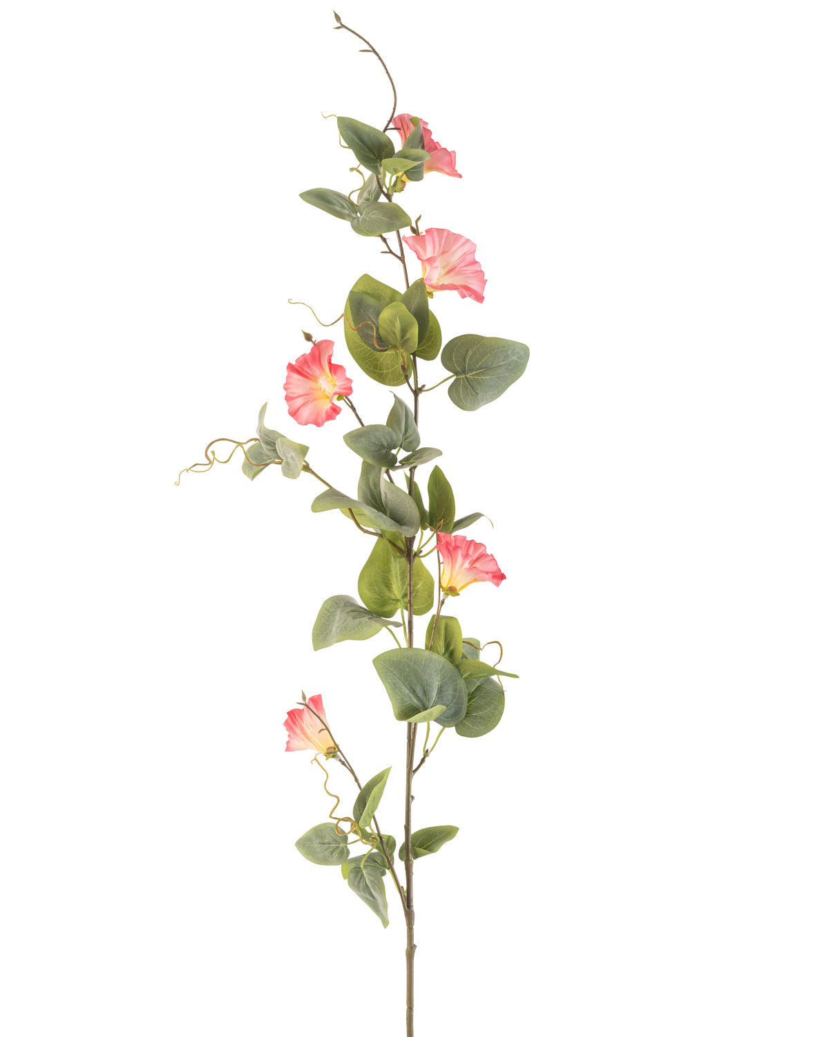 Artificial Flower Bindweed 122 cm pink har en enkelt høj stilk med grønne blade, flere lyserøde trompetformede blomster og krøllede ranker mod en hvid baggrund.