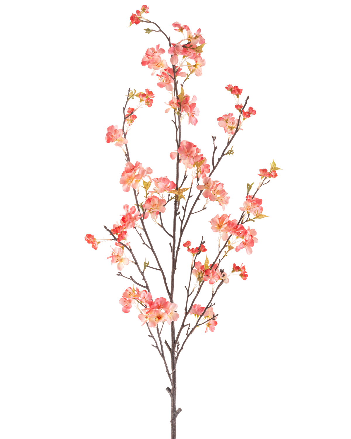 Den kunstige blomsterkirsebærblomst 150 cm fersken har en enkelt høj gren med flere tynde stængler, dekoreret med klynger af små lyserøde og røde blomster og et par grønne blade, mod en almindelig hvid baggrund.