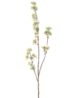 De Kunstbloem Bloemen 102 cm groen is een enkele, slanke bruine tak met verschillende uitlopers en kleine trosjes lichtgroene en witte bloemen tegen een effen witte achtergrond.