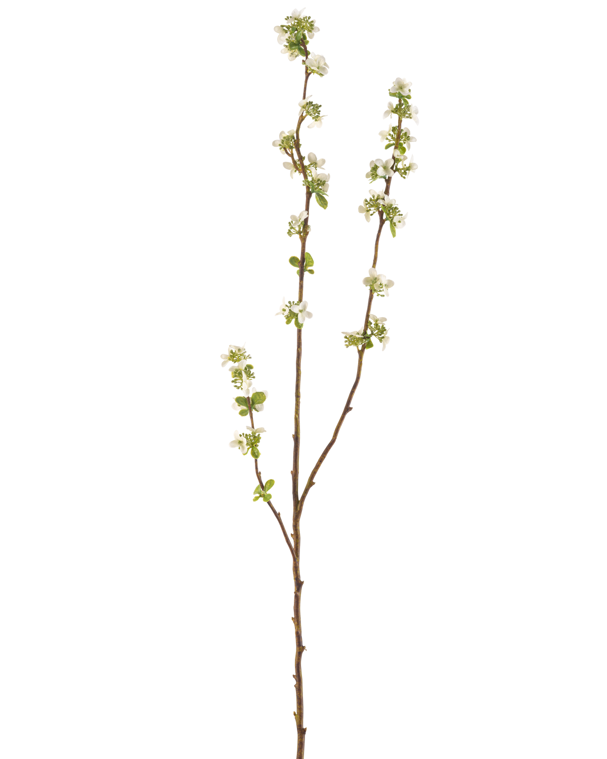 Artificial Branch Seed Box 104 cm cremen har en enkelt brun gren med små grønne blade og bundter af små hvide blomster mod en almindelig hvid baggrund.