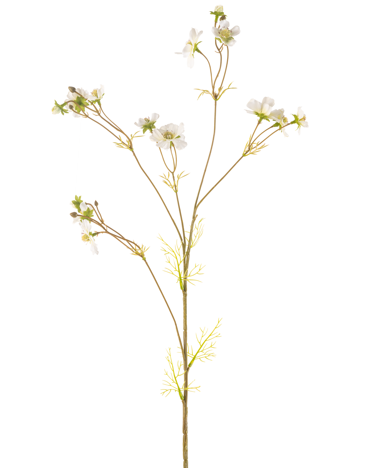 Artificial Flower Cosmos 95 cm cremen er en høj, delikat kunstig plante med tynde stængler, små grønne blade og klaser af små hvide blomster med et gult hjerte, afbildet på en almindelig hvid baggrund.