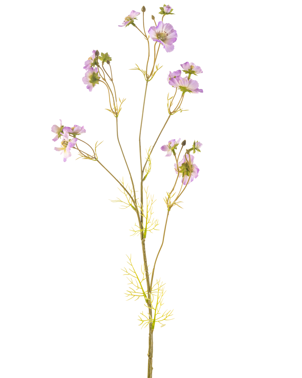The Artificial Flower Cosmos 95 cm lilla har en sart stilk med flere lyslilla blomster og små grønne blade, smuk mod en almindelig hvid baggrund.