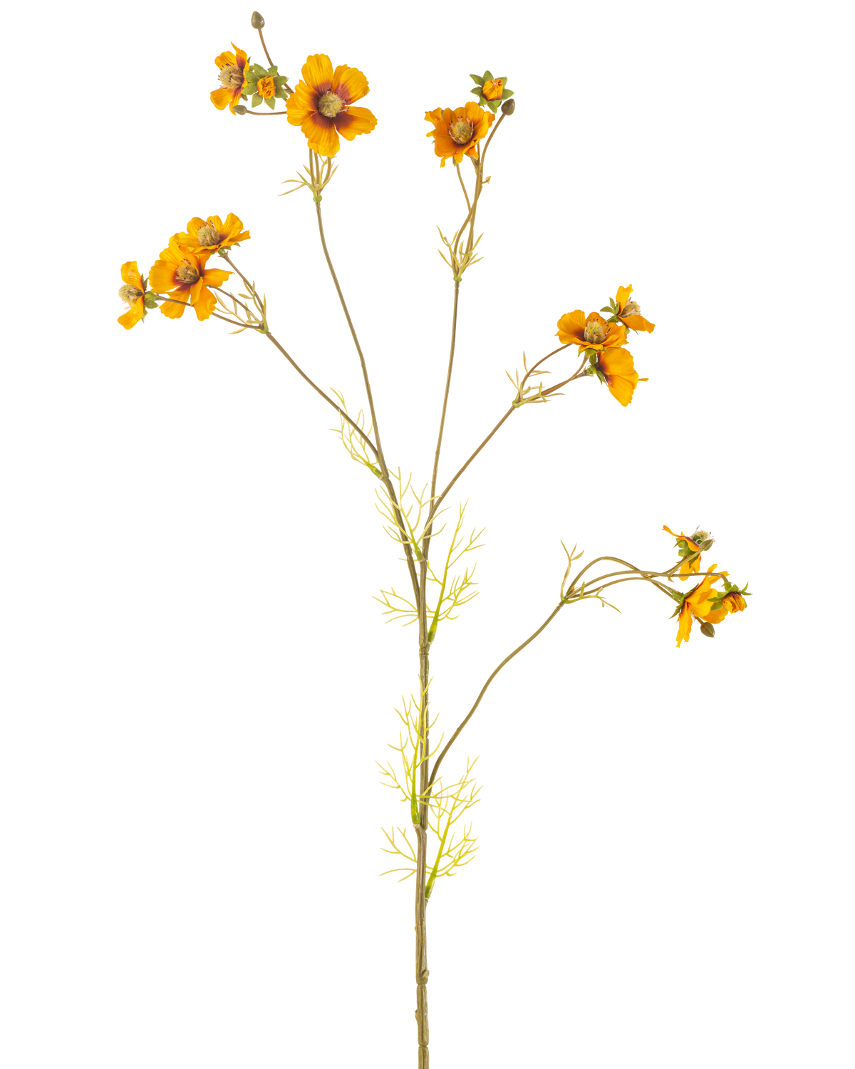 The Artificial Flower Cosmos 95 cm gul har en enkelt høj stilk med tynde grene, hver dekoreret med bundter af lyse orange-gule blomster og sarte grønne blade, mod en almindelig hvid baggrund.