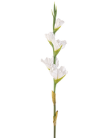 Den kunstige blomst Gladiolus 83 cm hvid er en enkelt kunstig hvid gladiolustængel med flere blomster og grønne knopper, der står oprejst mod en almindelig hvid baggrund.