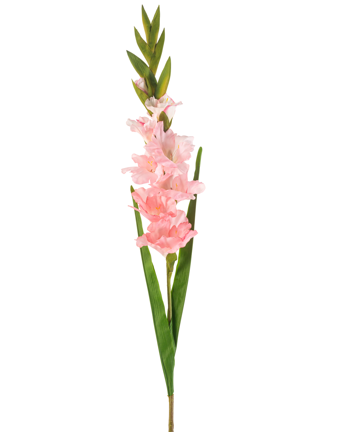 Den kunstige blomst Gladiolus 93 cm pink har en enkelt stilk med flere bløde lyserøde blomster og lange grønne blade, afbildet på en hvid baggrund.
