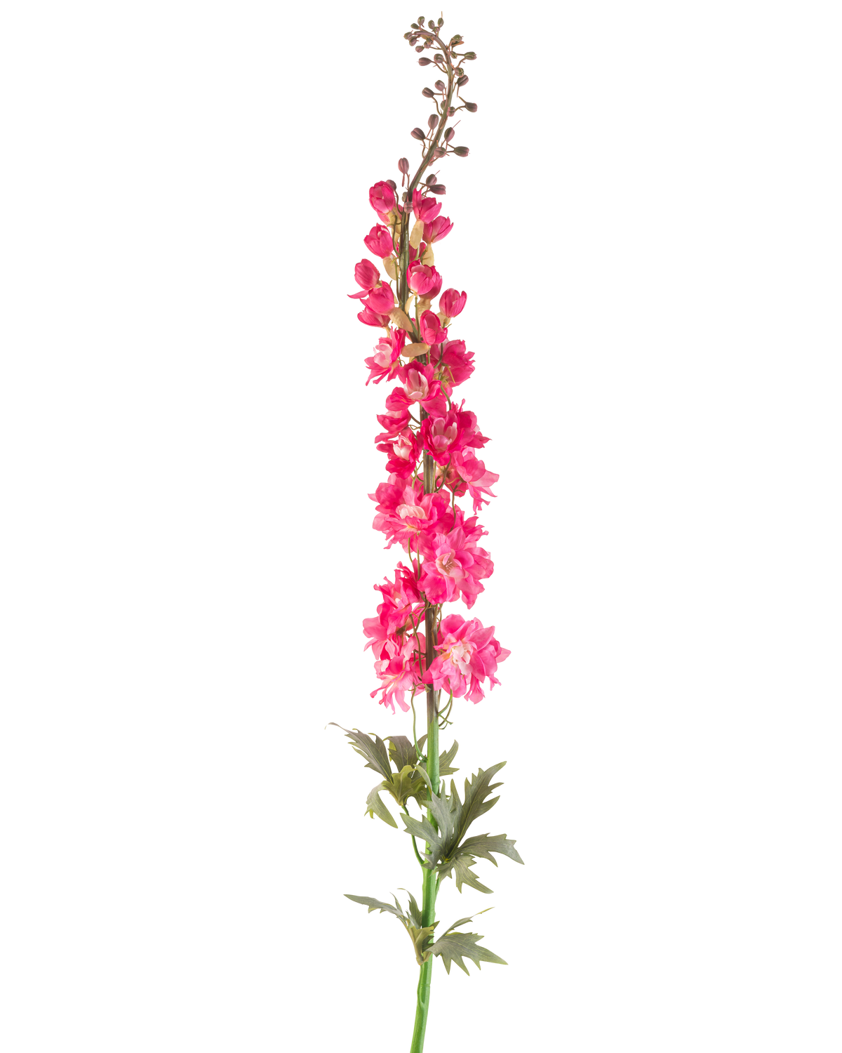 En enkelt kunstig blomsterspore 137 cm i lys pink med grønne blade, isoleret på en hvid baggrund.