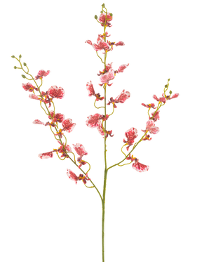 En enkelt rød kunstig blomsterorkidé 98 cm med flere grene, hver med klaser af levende blomster, mod en almindelig hvid baggrund.
