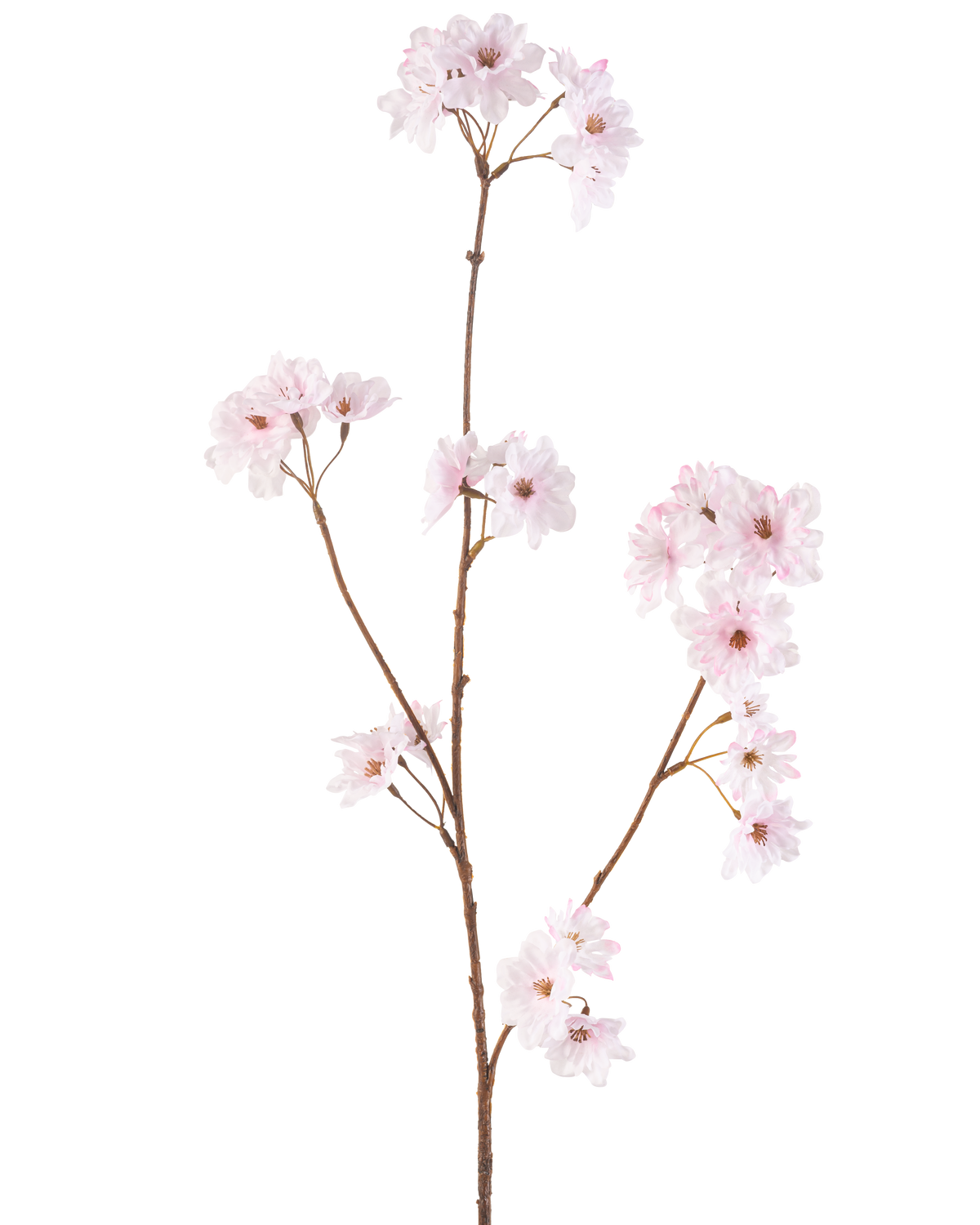 Artificial Flower Cherry Blossom 85 cm lys pink har en enkelt slank brun stilk med klaser af sarte lys pink kirsebærblomster, smukt isoleret på en hvid baggrund.