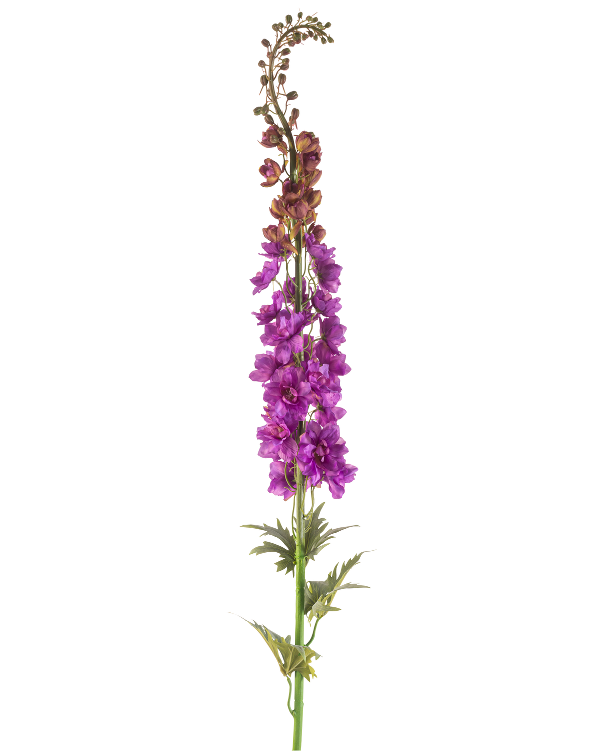 Artificial Flower Larkspur 137 cm lilla har en høj grøn stilk med dybt fligede blade og klaser af levende lilla blomster langs toppen, mod en hvid baggrund.