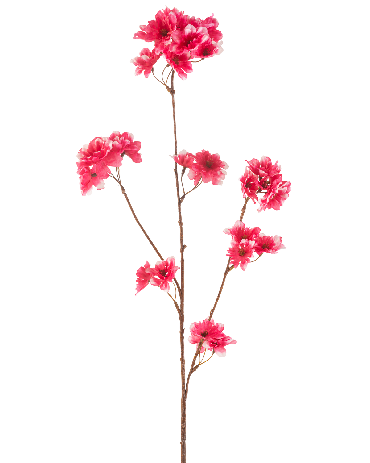 Artificial Flower Cherry Blossom 85 cm fuchsia har en enkelt brun stilk med flere grene, hver dekoreret med klynger af levende fuchsia kunstige kirsebærblomster, mod en almindelig hvid baggrund.