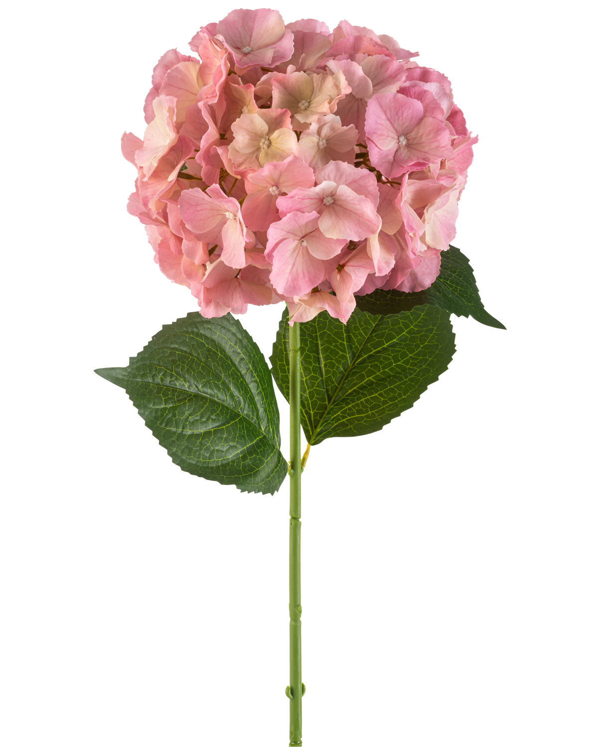Artificial Flower Hydrangea 75 cm pink har en enkelt pink hortensia-blomst med fine kronblade og to store grønne blade på en lang grøn stilk, mod en hvid baggrund.