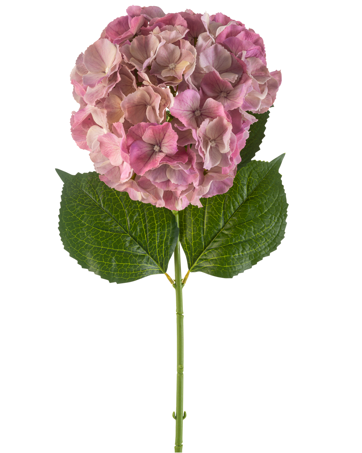 Den kunstige blomst hortensia 75 cm lilla har en enkelt lilla hortensia blomst med grønne blade på en lang stilk, mod en hvid baggrund.