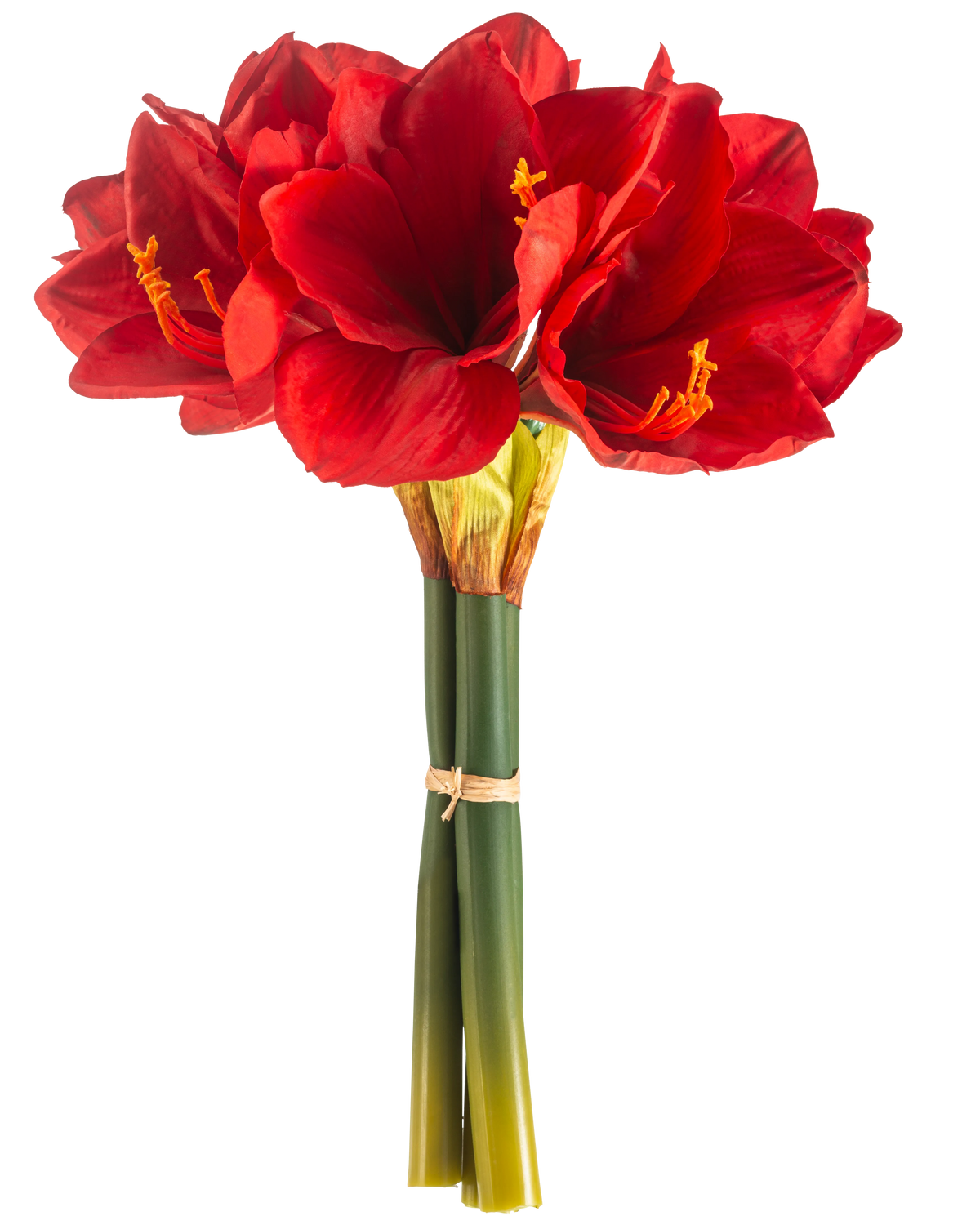 Den kunstige blomst Amaryllis Real Touch rød 36 cm har livlige røde amaryllisblomster med grønne stængler, bundet sammen med et elastikbånd, mod en almindelig hvid baggrund.