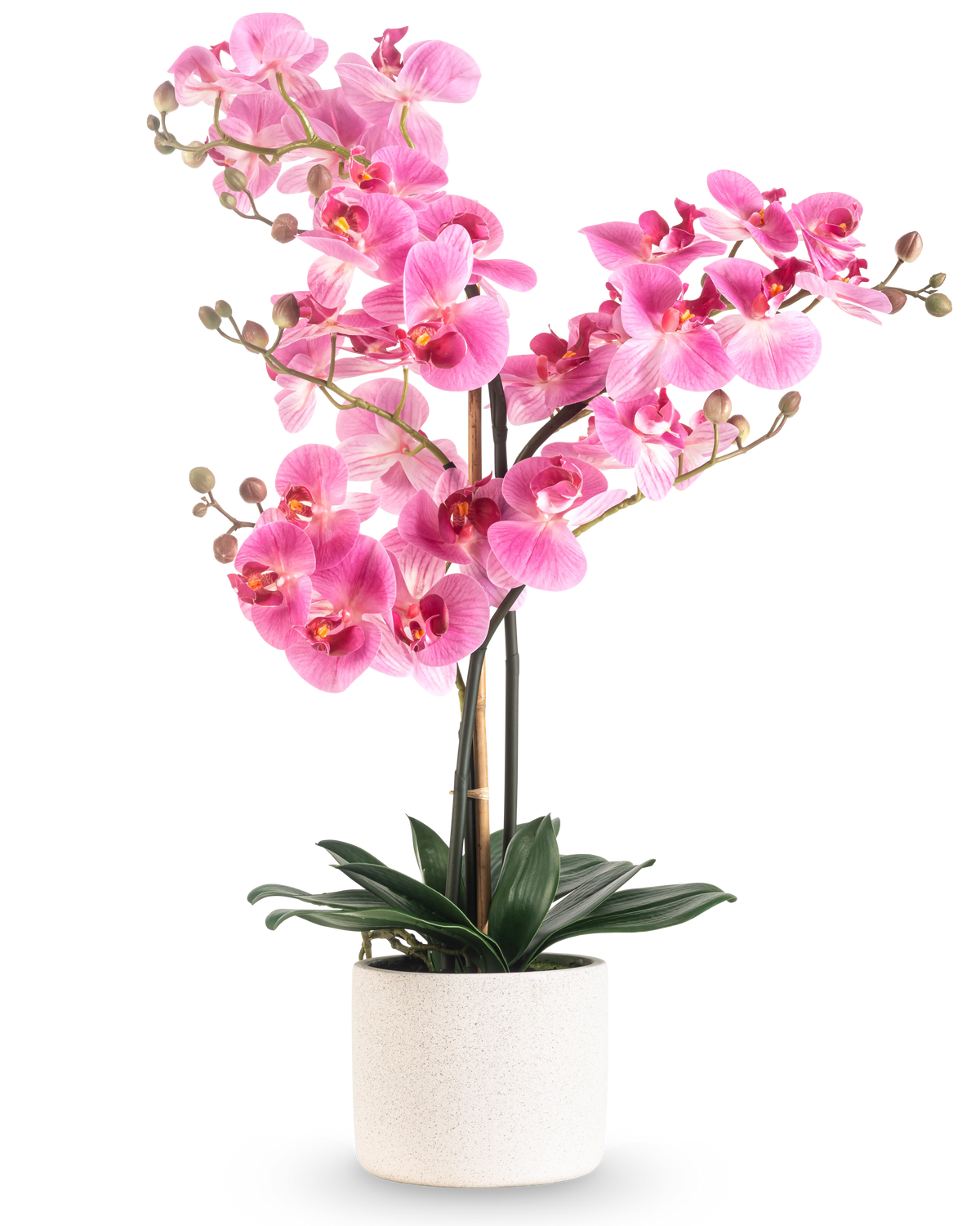 Artificial Orchid Real Touch 68 cm pink har en levende pink orkidé med flere stængler og grønne blade i en hvid keramisk potte, mod en almindelig hvid baggrund.