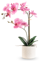 The Artificial Orchid Real Touch 60 cm pink/hvid har en pink og hvid orkidé med forskellige blomster og grønne blade i en hvid tekstureret potte, understøttet af en tynd bambuspind, mod en almindelig hvid baggrund.