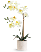 The Artificial Orchid Real Touch 60 cm grøn/hvid har hvide blomster med et lysegult hjerte og grønne knopper, understøttet af bambus i en enkel cremefarvet plettet potte, mod en hvid baggrund.
