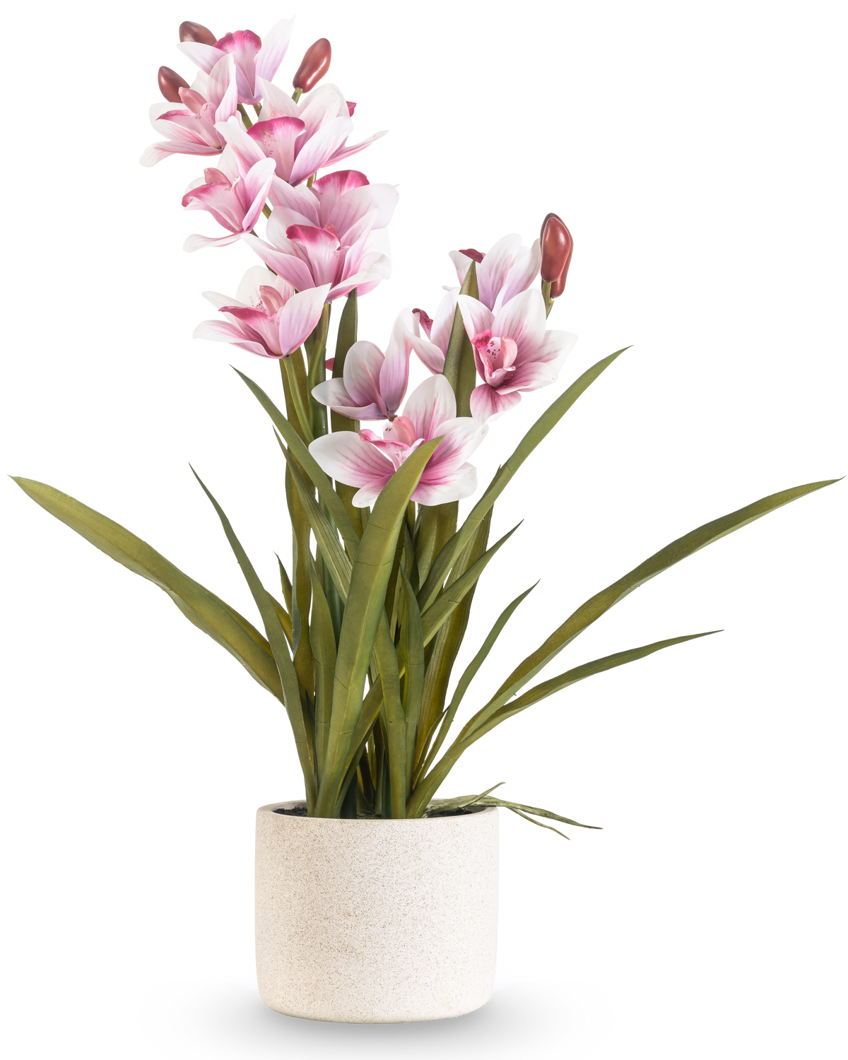 Artificial Cymbidium Real Touch 60 cm pink har lange grønne blade og flere lyserøde og hvide orkideer på lange stængler, arrangeret i en simpel råhvid tekstureret potte mod en almindelig baggrund.