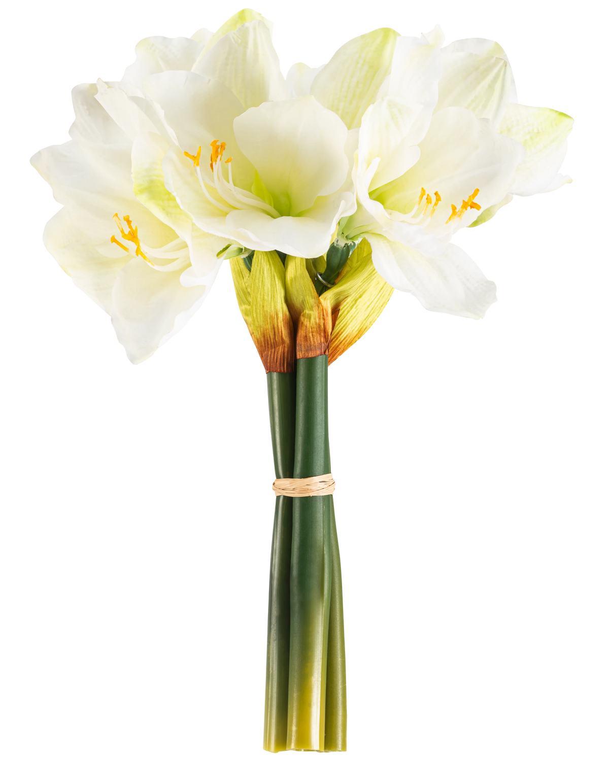 Den kunstige blomst Amaryllis Real Touch hvid 36 cm har naturtro hvide amaryllisblomster med lysegrønne centre og gule støvdragere, bundet med et beige bånd omkring grønne stængler, perfekt mod en almindelig hvid baggrund.