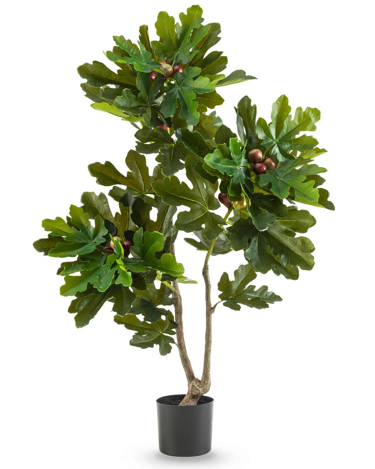 Den kunstige plante Ficus Carica Figentræ 120 cm har frodige grønne blade og små brune frugter i en sort potte, mod en almindelig hvid baggrund.