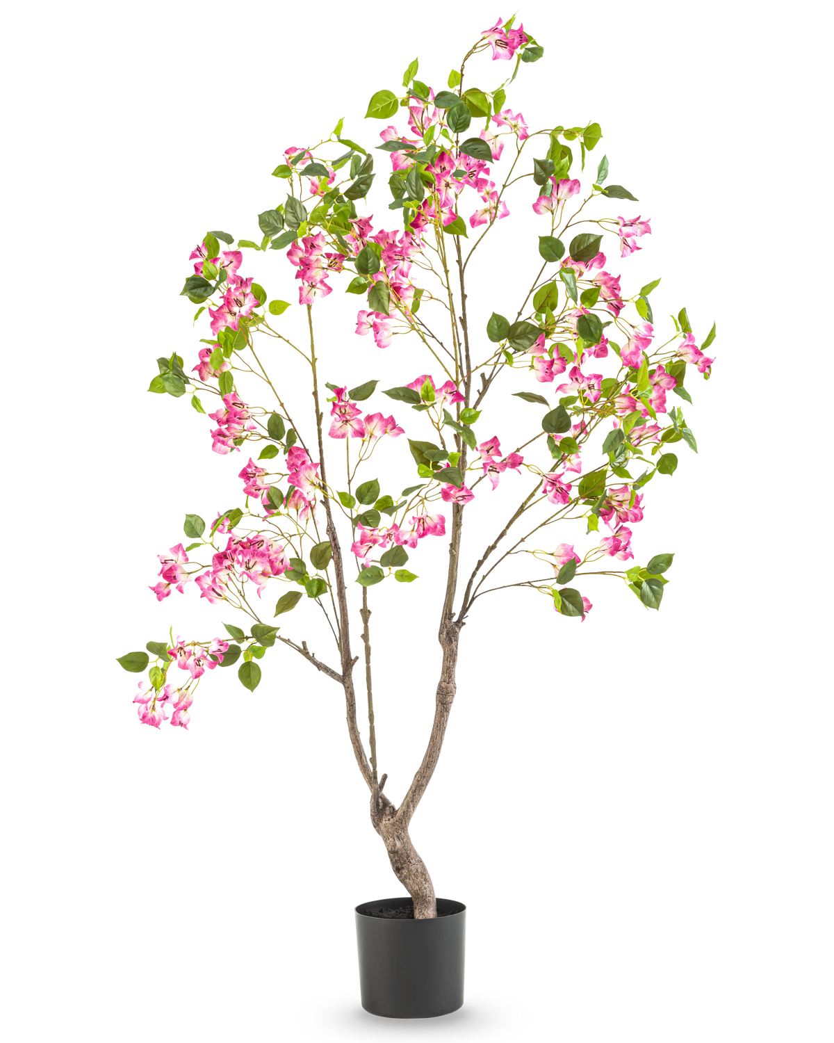 Artificial Bougainvillea 150 cm er en høj kunstig plante med flere grene, grønne blade og levende lyserøde blomster i en sort potte, mod en almindelig hvid baggrund.