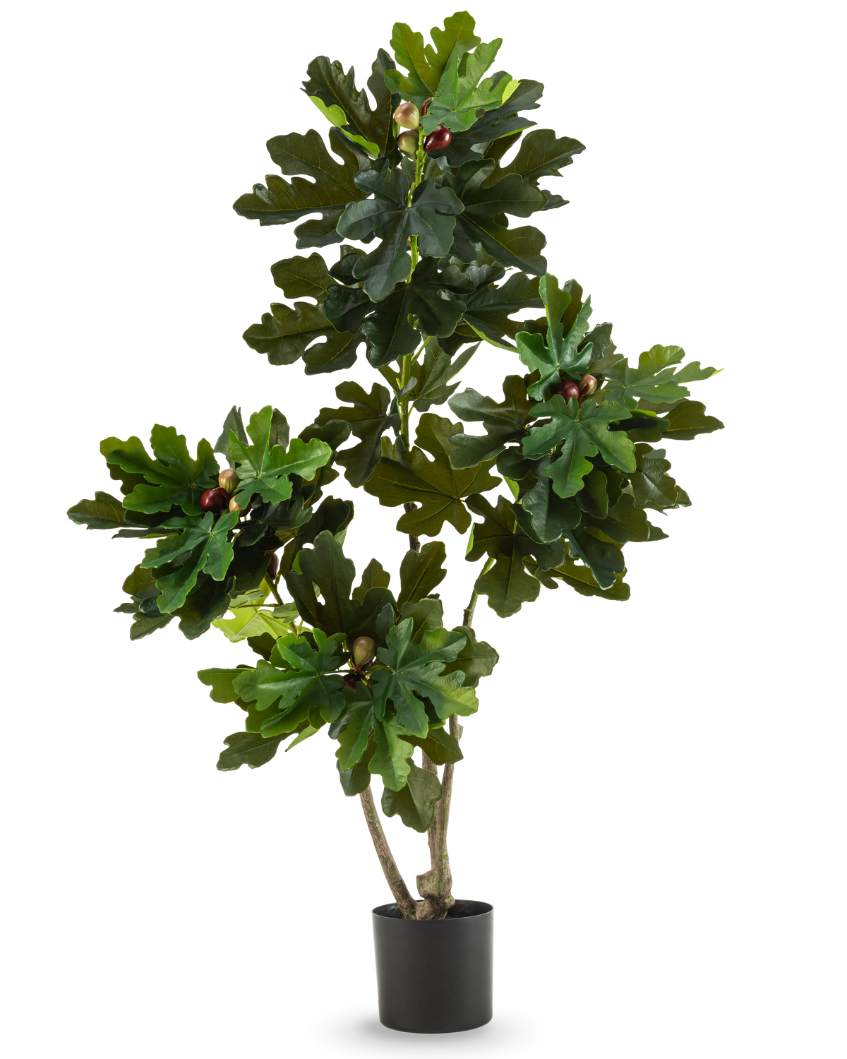 Den kunstige plante Ficus Carica Figentræ 150 cm er et kunstigt figentræ i en potte med flere grene, store grønne blade og små mørkelilla falske figner i en simpel sort potte mod en almindelig hvid baggrund.