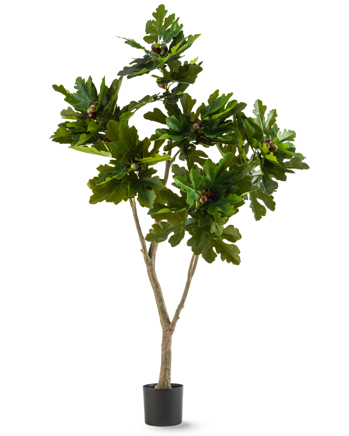 Kunstplanten Ficus Carica Figentræ 180 cm er en kunstig plante i potte med brede, blanke grønne blade og små brune frugter, der ligner et figentræ, mod hvid baggrund.