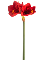 De Kunstbloem Amaryllis Real Touch rood 66 cm heeft een enkele groene steel met twee grote, levendige rode bloemen en gele meeldraden, tegen een effen witte achtergrond.