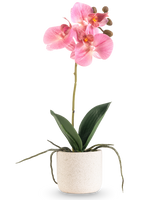 De Kunst Orchidee Real Touch 30 cm roze heeft verschillende roze bloesems en knoppen op een lange steel met brede groene bladeren en zichtbare wortels, allemaal gerangschikt in een eenvoudige pot met witte textuur tegen een effen witte achtergrond.