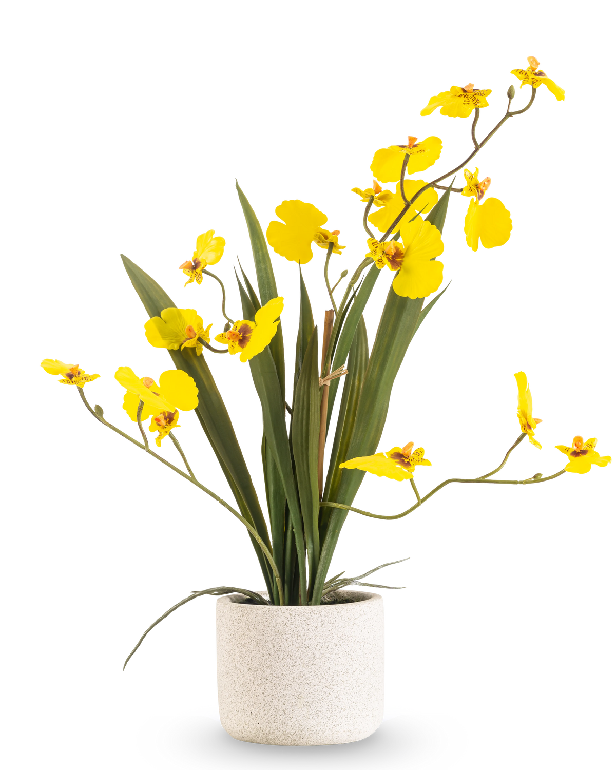 Artificial Oncidium Real Touch 48 cm gul har lange, slanke blade og lange stængler med knaldgule orkideer i en hvid potte, mod en almindelig hvid baggrund.