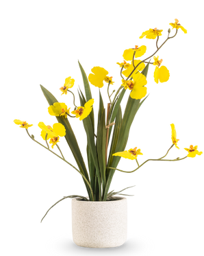 De Kunst Oncidium Real Touch 48 cm geel heeft lange, slanke bladeren en lange stelen met heldergele orchideeën in een witte pot, tegen een effen witte achtergrond.