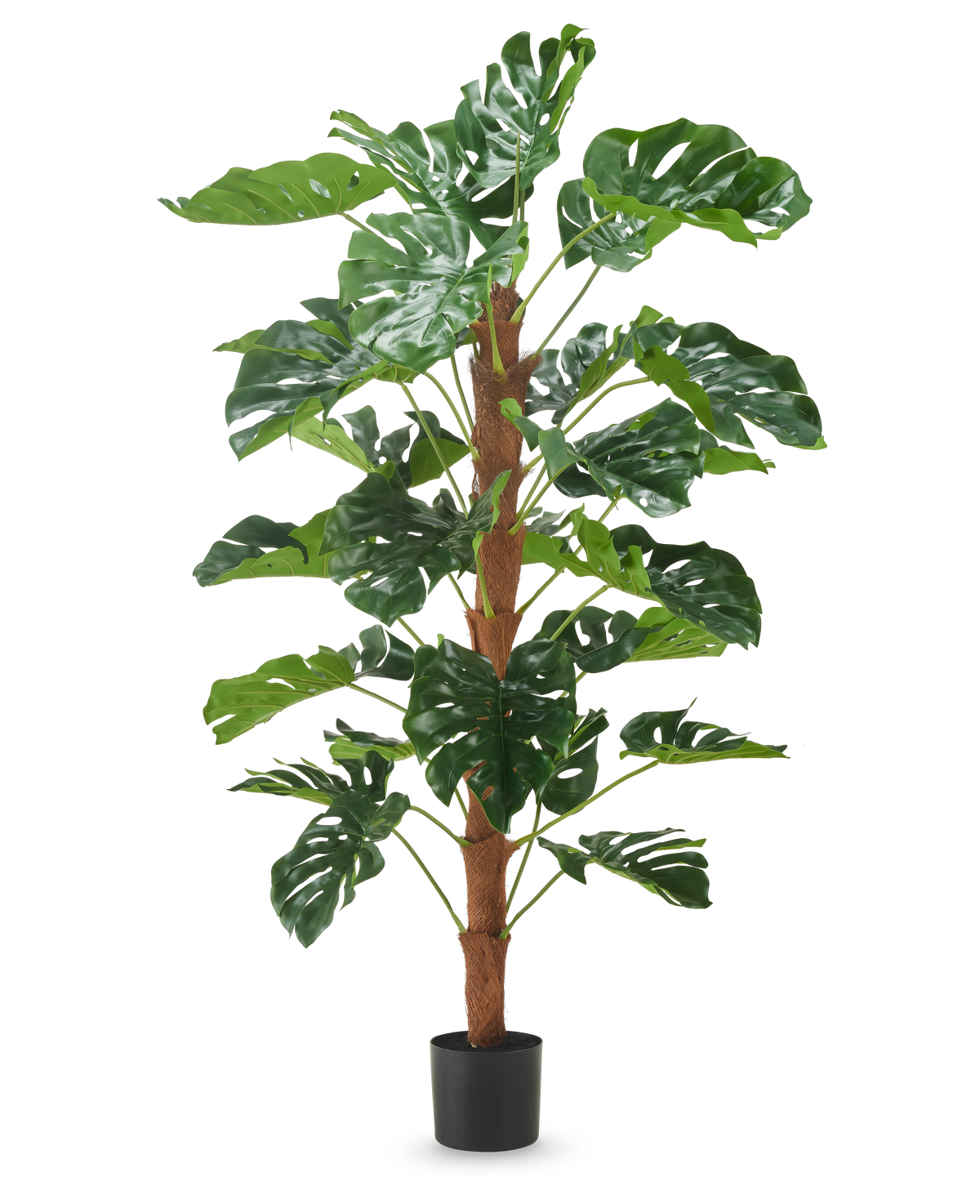 Den kunstige plante Monstera 150 cm er en høj kunstig plante med store grønne flækkede blade, vist i en lille sort potte på en almindelig hvid baggrund.