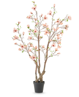 Kunstplanten Magnolia 220 cm er et kunstigt magnoliatræ i en potte med flere brune grene, lyserøde blomster og grønne blade i en enkel sort potte mod hvid baggrund.