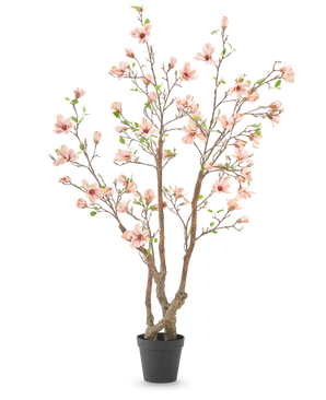 Kunstplanten Magnolia 220 cm er et kunstigt magnoliatræ i en potte med flere brune grene, lyserøde blomster og grønne blade i en enkel sort potte mod hvid baggrund.