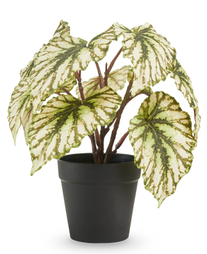 Kunstig Begonia i potte grøn 25 cm UV
