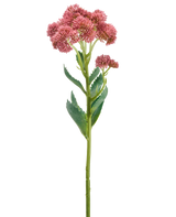 En enkelt stilk af den kunstige blomst Sedum 57 cm lilla har bundter af små, stjerneformede lilla blomster og grønne blade, afbildet på en hvid baggrund.