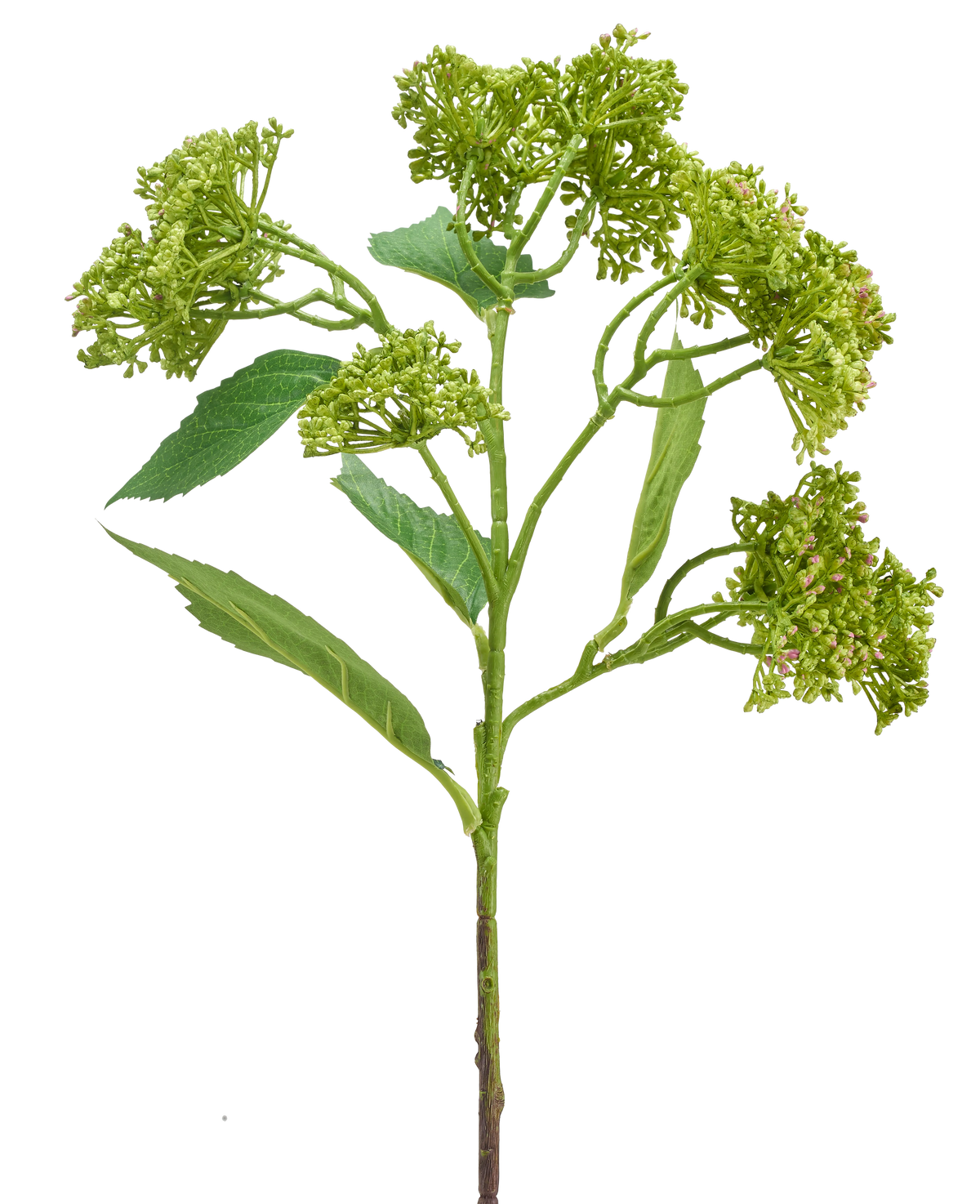En kunstig blomsterhortensia 56 cm grøn/rød med en grøn stilk med bundter af kompakte grønne knopper og aflange blade, afbildet på hvid baggrund.
