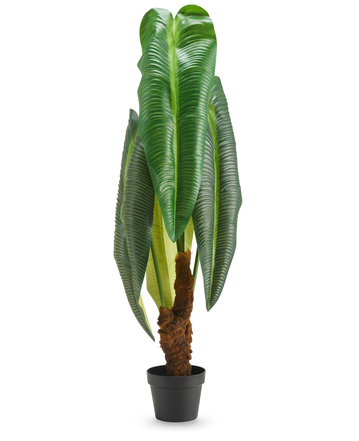 En høj kunstig plante Anthurium på 120 cm med store, blanke grønne blade og en brun stilk med struktur, præsenteret i en lille sort potte mod en hvid baggrund.