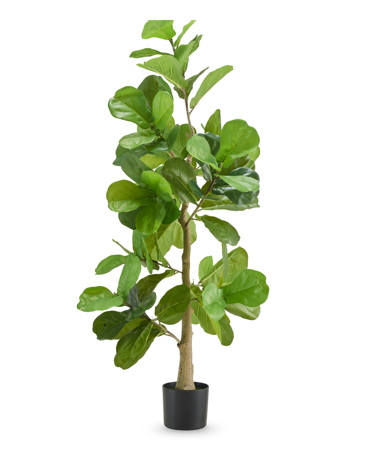 Den kunstige tobaksplante 150 cm er en høj kunstig plante med brede, blanke grønne blade og en slank stilk, vist i en simpel sort potte mod en almindelig hvid baggrund.