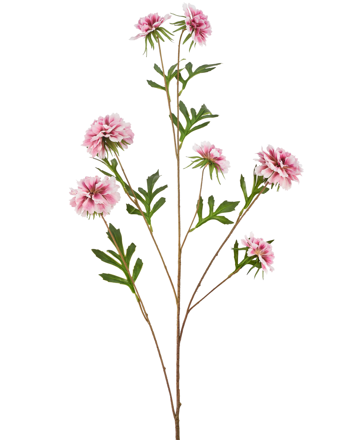 Den Kunstige Blomst Kornblomst 112 cm pink har en lang stilk med grønne blade og flere lyserøde, luftige, dahlia-lignende blomster mod en hvid baggrund.