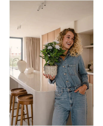 En smilende kvinde i en denim jumpsuit står i et moderne køkken, med den Artificial Gardenia UV 39 cm hvid kunstig plante i hænderne. Træskamler er linet op langs en hvid bordplade, og sollys strømmer ind gennem et vindue i baggrunden.