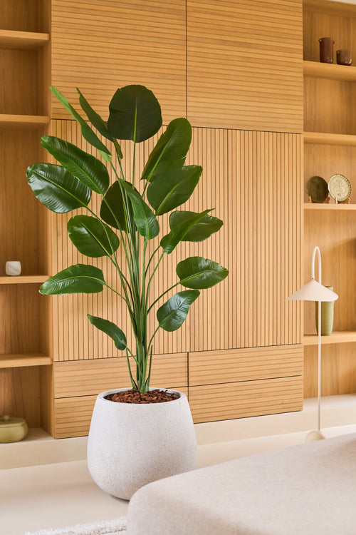 En kunstig Strelitzia plante på 210 cm med et realistisk udseende, i en hvid krukke, står foran lyse træ indbyggede hylder og skabe i et moderne, minimalistisk opholdsrum. Denne stilrene, letplejende kunstige plante giver rummet et realistisk og letplejet look.