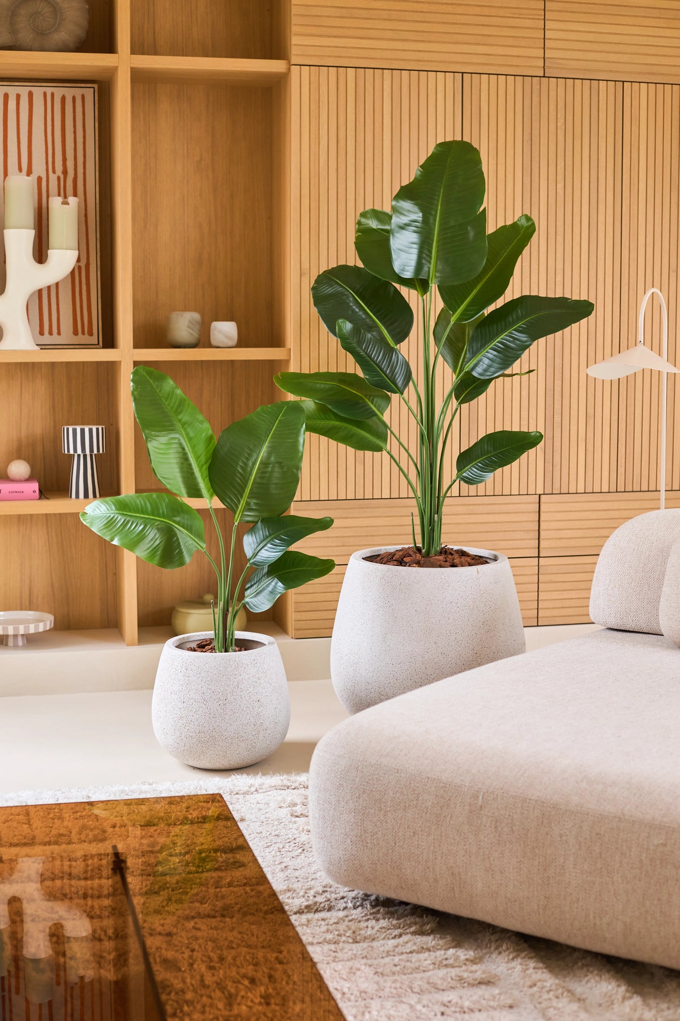 Twee Kunstplant Strelitzia 150 cm real touch2-potplanten, met grote groene, natuurgetrouwe bladeren, staan op een witte vloer naast een beige bank. Daarachter staat een houten rek met decoratieve voorwerpen, wat de gezellige woonkamer een moderne uitstraling geeft.
