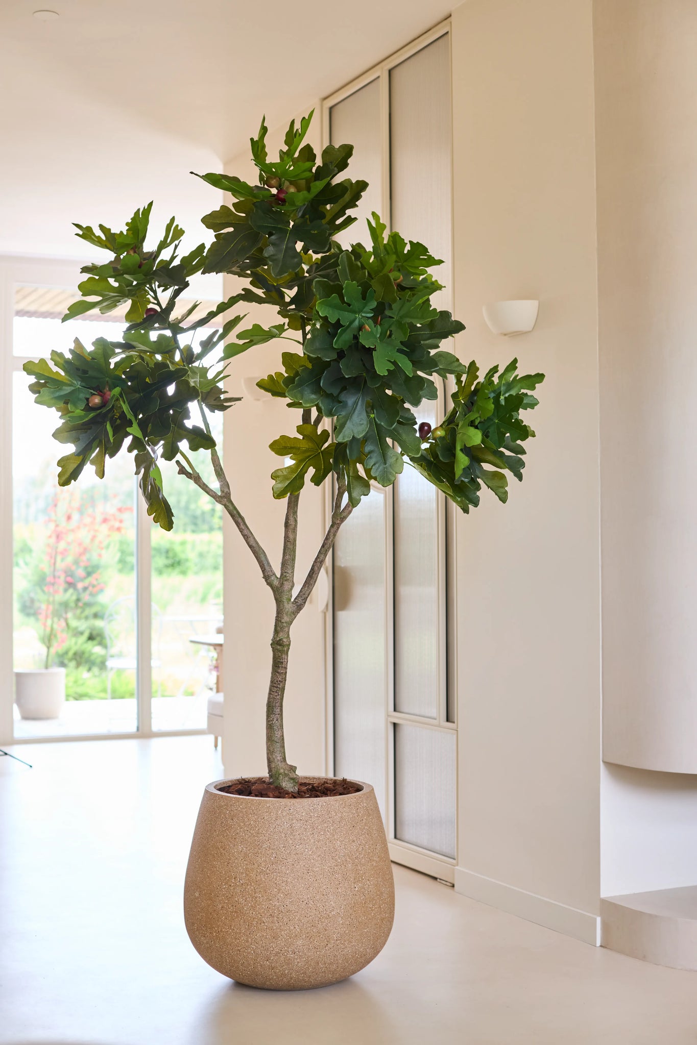 Een kunstplant, een Ficus Carica-vijgenboom van 210 cm in een ronde beige pot, staat in een lichte, moderne kamer met lichte muren en grote ramen die veel natuurlijk licht binnenlaten.