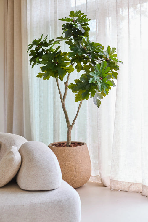 Et 180 cm kunstigt Ficus Carica figentræ, med levende grønne blade, står nær et vindue med hvide, gennemsigtige gardiner, ved siden af ​​en lys beige, moderne, buet sofa.